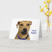 Yeah Right Dog Geburtstagskarte Karte (Gelbe Blume)