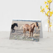 Yearlings Karte (Gelbe Blume)