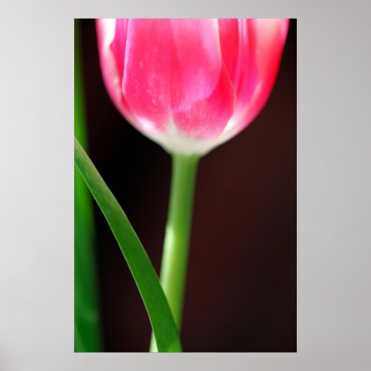 Yearning Poster (Vorne)