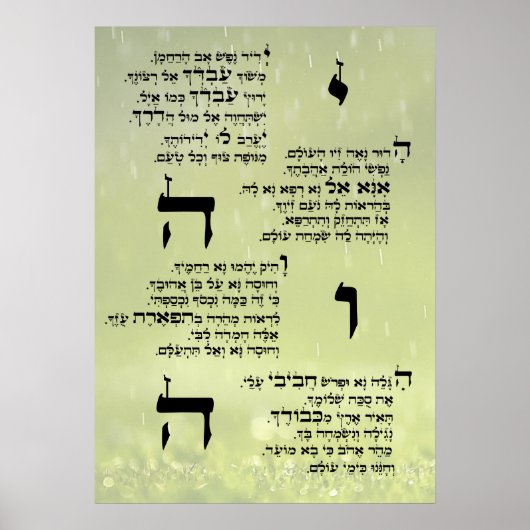 Yedid Nefesh Poster (Vorne)
