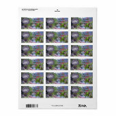 Yelapa Trail 821 Adresse Adressaufkleber (Vorne)