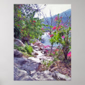 Yelapa Trail 821 Art Print Poster (Vorne)