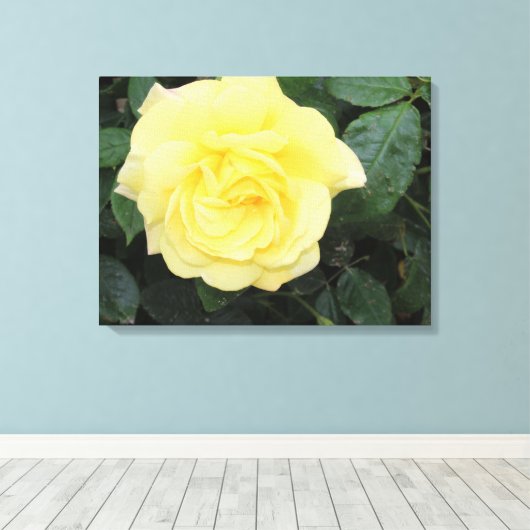 Yello-Rose Leinwanddruck (Insitu (Holzboden))