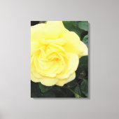 Yello-Rose Leinwanddruck (Vorderseite)