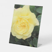 Yello-Rose Sockelschild (Vorderseite)