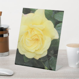 Yello-Rose Sockelschild