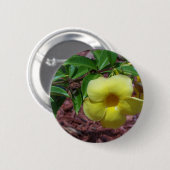 Yellow Alamanda Blume Button (Vorne & Hinten)