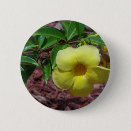 Yellow Alamanda Blume Button