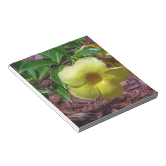 Yellow Alamanda Blume Notizblock (angewinkelt)