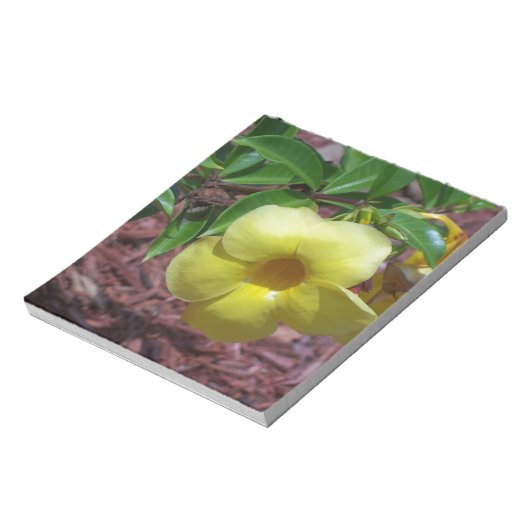 Yellow Alamanda Blume Notizblock (Rotiert)
