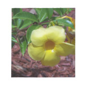 Yellow Alamanda Blume Notizblock (Vorderseite)
