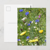 Yellow and Blue Wildblumen DIY Postkarte (Vorne/Hinten)
