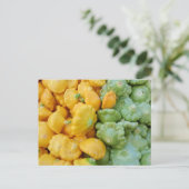 Yellow and Green Acorn Squash Postkarte (Stehend Vorderseite)