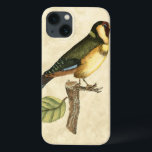 Yellow and Green Bird Perched on Little Branch iPhone 13 Hülle<br><div class="desc">This engraved-inspirred print displays sharp,  vivid images with a high degree of color accuracy. The neutral background helps emphasize the colors of the bird. Customize your favorite Zazzle product using this beautiful image.</div>