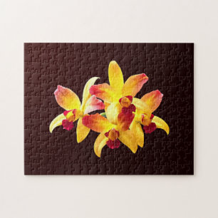 Yellow and Maroon Orchids Brassolaeliocattleya Puzzle