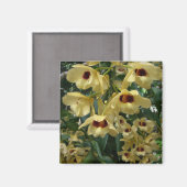 Yellow and Maroon Orchids Elegante Magnet (Vorderseite/Rückseite)