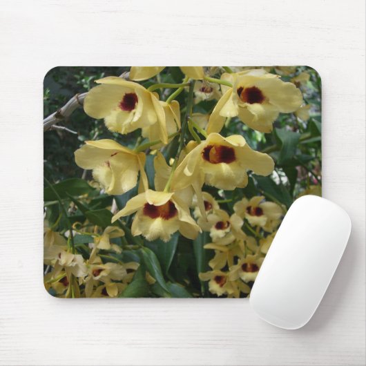 Yellow and Maroon Orchids Elegante Mousepad (Mit Mouse)