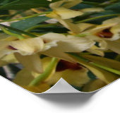 Yellow and Maroon Orchids Elegante Poster (Ecke)