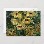 Yellow and Maroon Orchids Elegante Postkarte (Vorne/Hinten)
