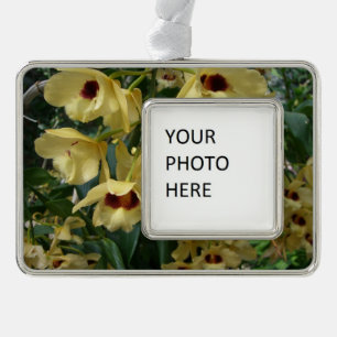 Yellow and Maroon Orchids Elegante Rahmen-Ornament Silber