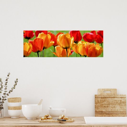 Yellow And Red Tulips Poster (Küche)