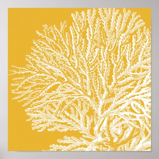 Yellow and White Coral Poster (Vorne)