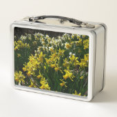Yellow and White Daffodils Spring Flowers Metall Brotdose (Rückseite)
