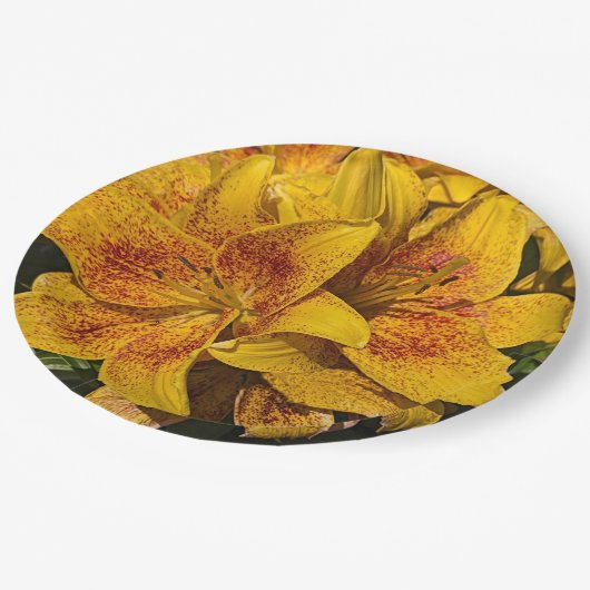Yellow Asiatic Lily Blooms Floral Pappteller (Schrägansicht)