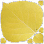 Yellow Aspen Leaf #5 Aufkleber (Vorderseite)
