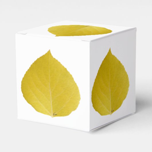 Yellow Aspen Leaf #5 Geschenkschachtel (Vorderseite)