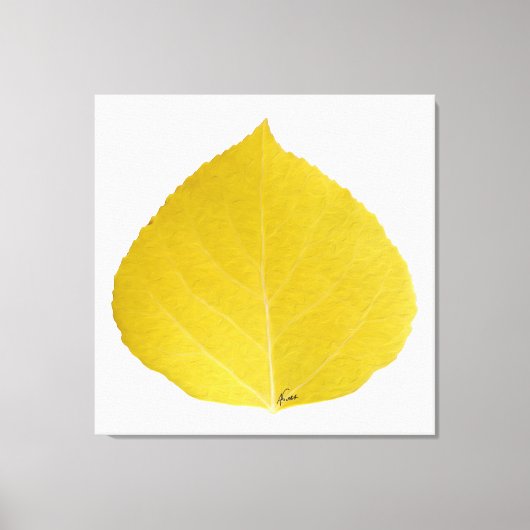 Yellow Aspen Leaf #5 Leinwanddruck (Vorderseite)