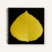 Yellow Aspen Leaf #5 Notizblock (Vorderseite)