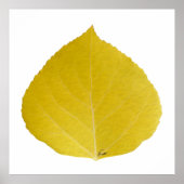 Yellow Aspen Leaf #5 Poster (Vorne)