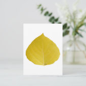 Yellow Aspen Leaf #5 Postkarte (Stehend Vorderseite)