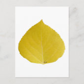 Yellow Aspen Leaf #5 Postkarte (Vorderseite)