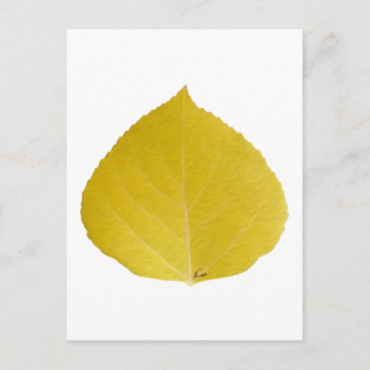 Yellow Aspen Leaf #5 Postkarte (Vorderseite)