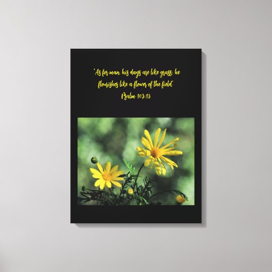 Yellow Aster Wildflowers Canvas Print Leinwanddruck (Vorderseite)