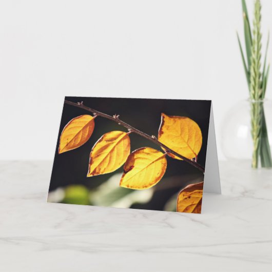 Yellow Autumn Leaaves Note Card Karte (Vorderseite)