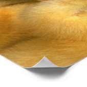 Yellow Baby Chicks Poster (Ecke)