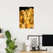 Yellow Baby Chicks Poster (Heimbüro)