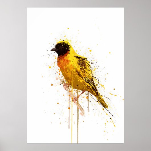 Yellow-Backed Weaver Bird Poster (Vorne)