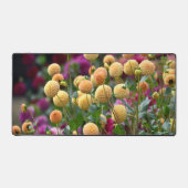 Yellow Ball Dahlia Blooms Bloral Schreibtischunterlage (Vorderseite)