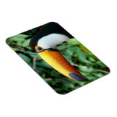 Yellow Beaked Toucan Magnet (Rechte Seite)