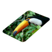 Yellow Beaked Toucan Magnet (Linke Seite)