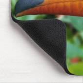 Yellow Beaked Toucan Mousepad (Ecke)