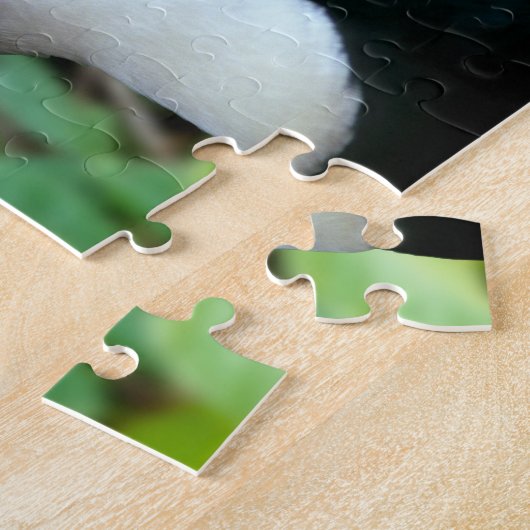 Yellow Beaked Toucan Puzzle (Seite)