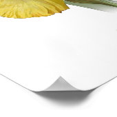 Yellow Bearted Iris Original Art Print Poster (Ecke)