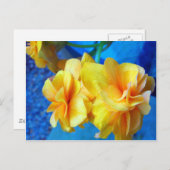 Yellow Begonias Postkarte (Vorne/Hinten)