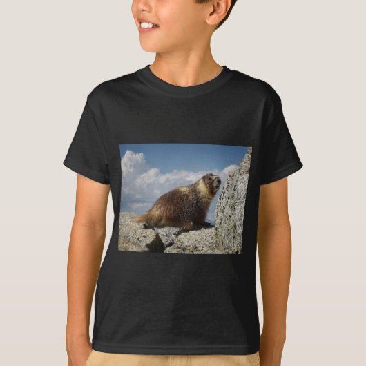 Yellow Bellied Marmot in Yosemite T-Shirt (Vorderseite)