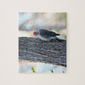 Yellow Bellied Woodpecker Puzzle (Vertikal)